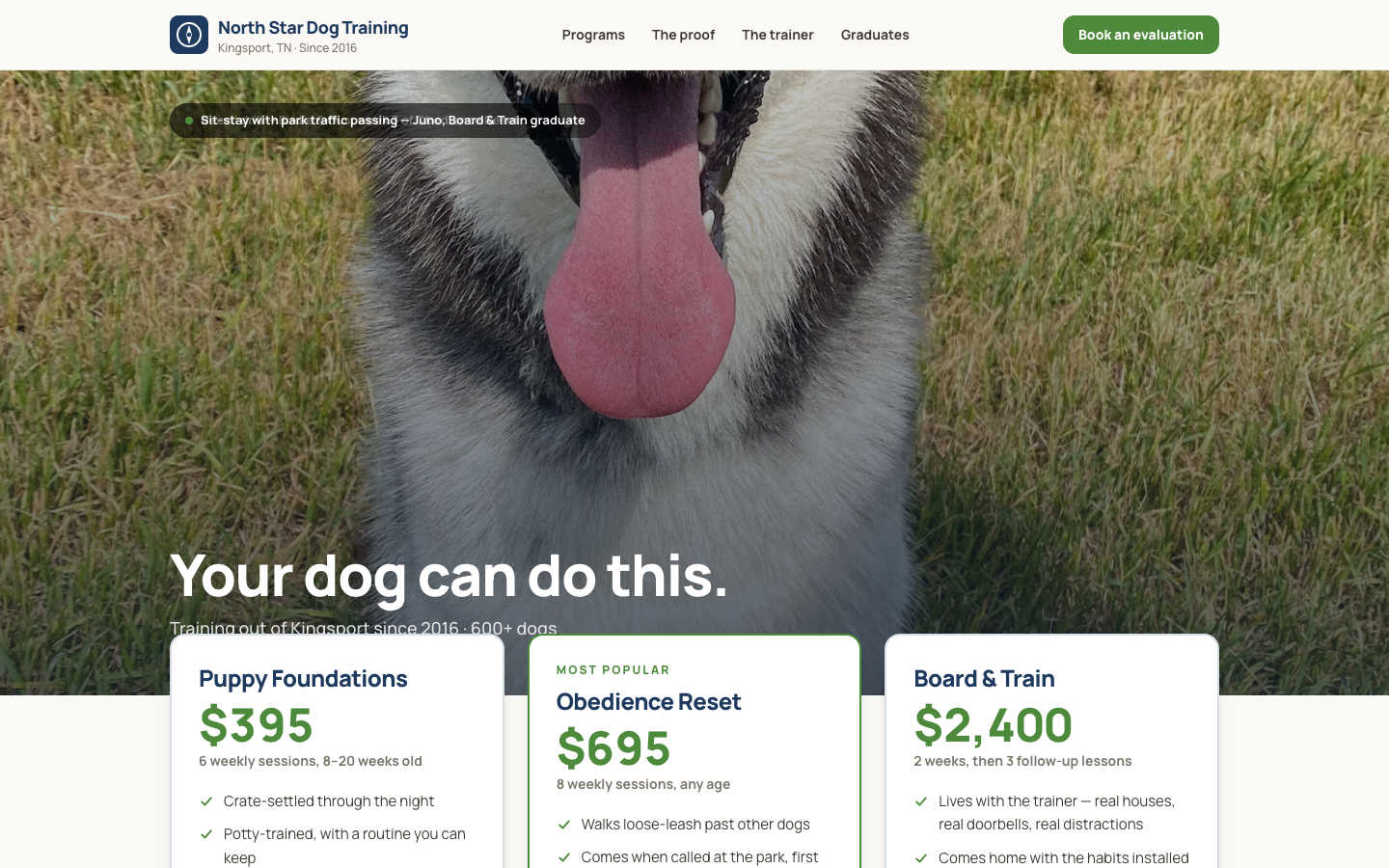 Dog Training — Three-Tier Packages — captured preview